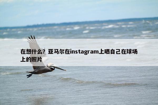 在想什么？亚马尔在instagram上晒自己在球场上的照片