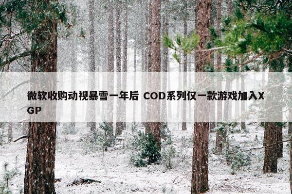 微软收购动视暴雪一年后 COD系列仅一款游戏加入XGP