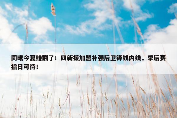 同曦今夏赚翻了！四新援加盟补强后卫锋线内线，季后赛指日可待！