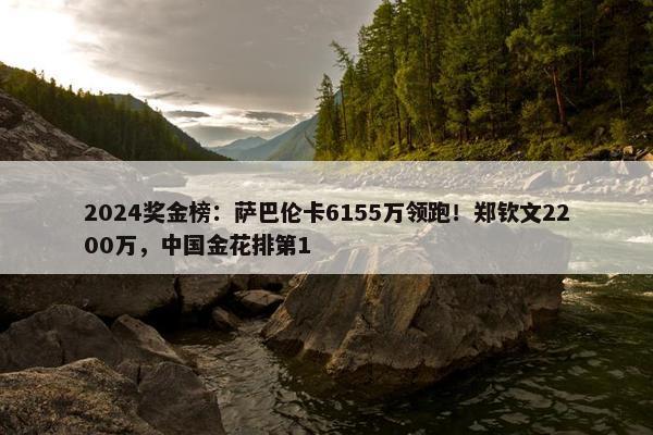 2024奖金榜：萨巴伦卡6155万领跑！郑钦文2200万，中国金花排第1