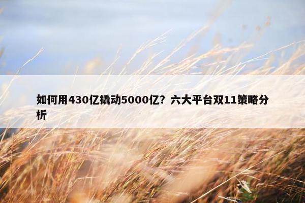 如何用430亿撬动5000亿？六大平台双11策略分析