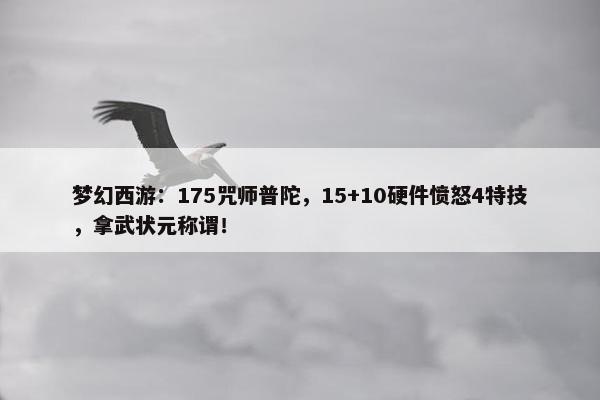 梦幻西游：175咒师普陀，15+10硬件愤怒4特技，拿武状元称谓！