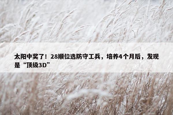 太阳中奖了！28顺位选防守工兵，培养4个月后，发现是“顶级3D”