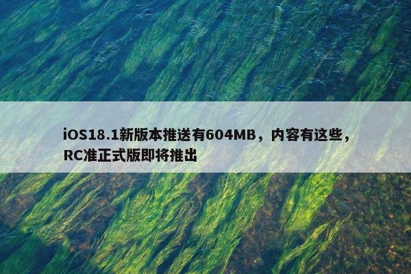 iOS18.1新版本推送有604MB，内容有这些，RC准正式版即将推出