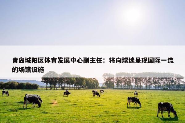 青岛城阳区体育发展中心副主任：将向球迷呈现国际一流的场馆设施