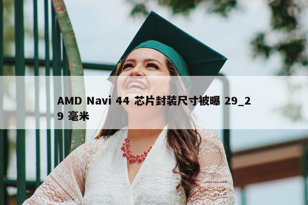 AMD Navi 44 芯片封装尺寸被曝 29_29 毫米