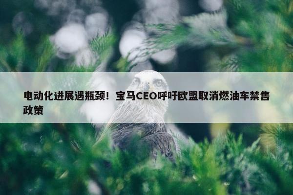 电动化进展遇瓶颈！宝马CEO呼吁欧盟取消燃油车禁售政策