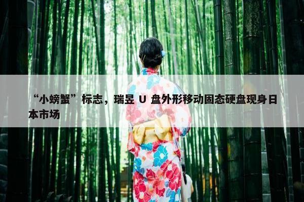 “小螃蟹”标志，瑞昱 U 盘外形移动固态硬盘现身日本市场