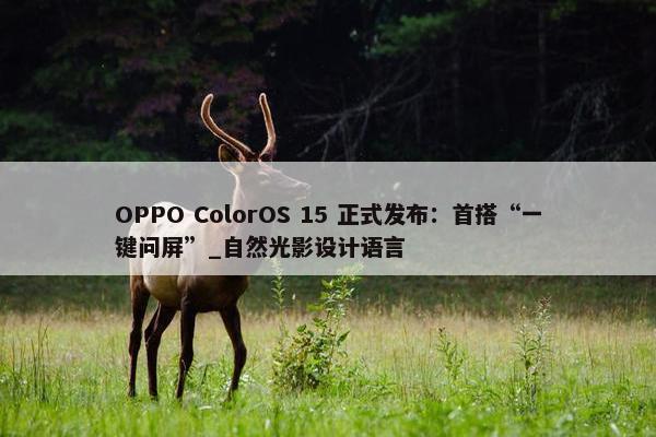 OPPO ColorOS 15 正式发布：首搭“一键问屏”_自然光影设计语言