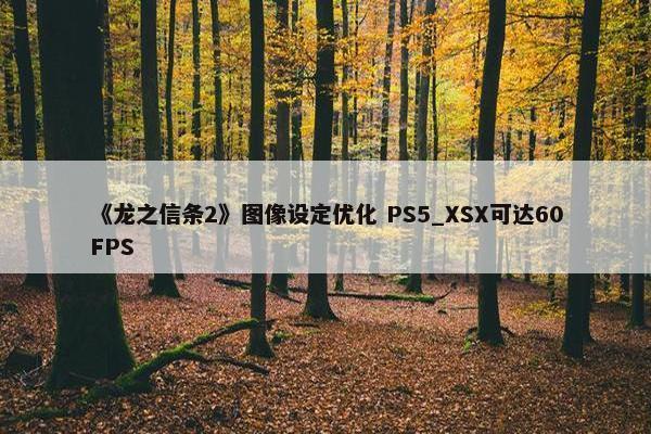 《龙之信条2》图像设定优化 PS5_XSX可达60FPS