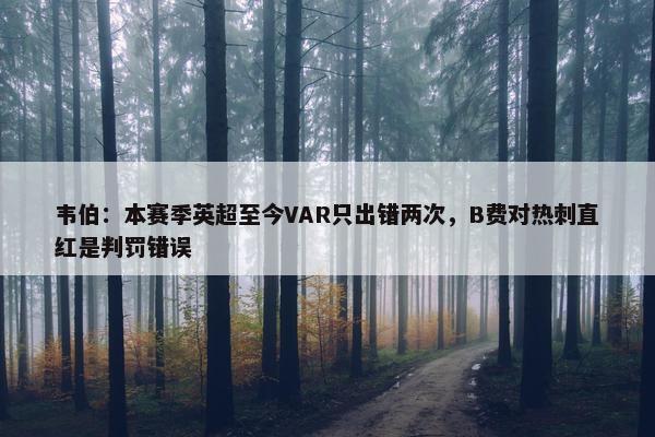 韦伯：本赛季英超至今VAR只出错两次，B费对热刺直红是判罚错误