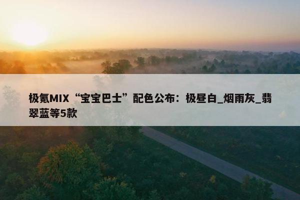 极氪MIX“宝宝巴士”配色公布：极昼白_烟雨灰_翡翠蓝等5款