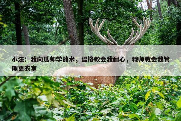 小法：我向瓜帅学战术，温格教会我耐心，穆帅教会我管理更衣室