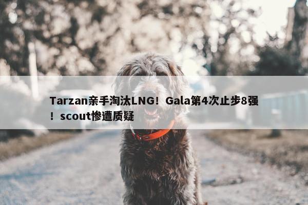 Tarzan亲手淘汰LNG！Gala第4次止步8强！scout惨遭质疑