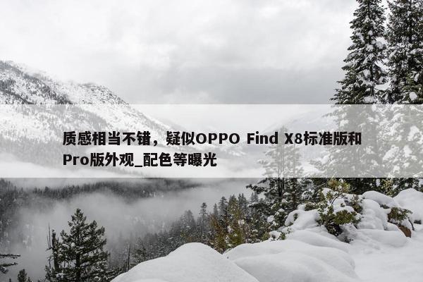 质感相当不错，疑似OPPO Find X8标准版和Pro版外观_配色等曝光