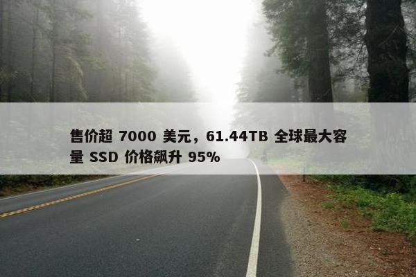 售价超 7000 美元，61.44TB 全球最大容量 SSD 价格飙升 95%