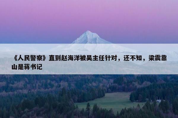 《人民警察》直到赵海洋被吴主任针对，还不知，梁震靠山是蒋书记