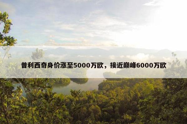 普利西奇身价涨至5000万欧，接近巅峰6000万欧