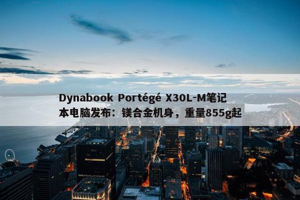 Dynabook Portégé X30L-M笔记本电脑发布：镁合金机身，重量855g起