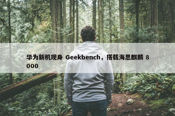 华为新机现身 Geekbench，搭载海思麒麟 8000