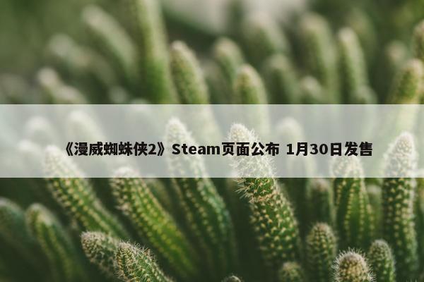 《漫威蜘蛛侠2》Steam页面公布 1月30日发售