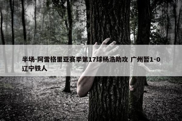 半场-阿雷格里亚赛季第17球杨浩助攻 广州暂1-0辽宁铁人