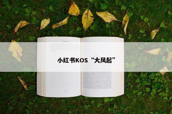 小红书KOS“大风起”