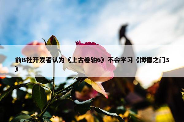 前B社开发者认为《上古卷轴6》不会学习《博德之门3》