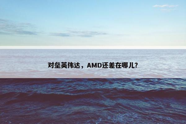 对垒英伟达，AMD还差在哪儿？