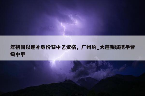 年初同以递补身份获中乙资格，广州豹_大连鲲城携手晋级中甲