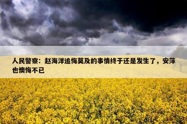 人民警察：赵海洋追悔莫及的事情终于还是发生了，安萍也懊悔不已