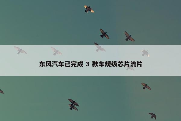 东风汽车已完成 3 款车规级芯片流片