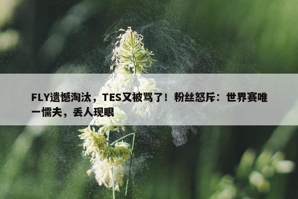 FLY遗憾淘汰，TES又被骂了！粉丝怒斥：世界赛唯一懦夫，丢人现眼