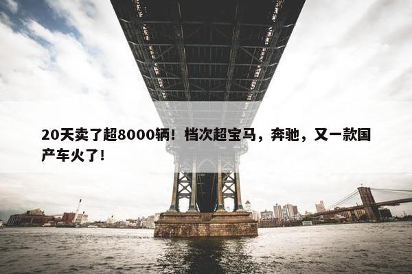 20天卖了超8000辆！档次超宝马，奔驰，又一款国产车火了！