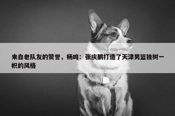 来自老队友的赞誉，杨鸣：张庆鹏打造了天津男篮独树一帜的风格