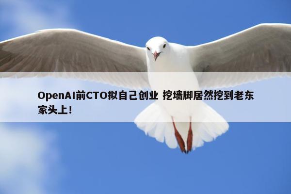 OpenAI前CTO拟自己创业 挖墙脚居然挖到老东家头上！