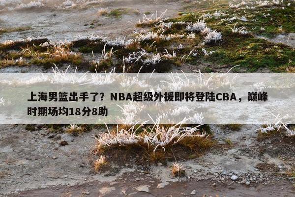 上海男篮出手了？NBA超级外援即将登陆CBA，巅峰时期场均18分8助