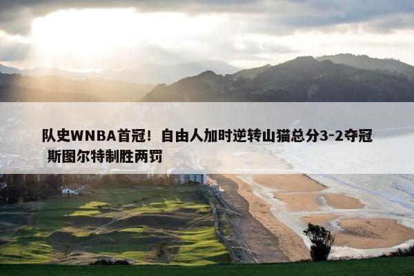 队史WNBA首冠！自由人加时逆转山猫总分3-2夺冠 斯图尔特制胜两罚