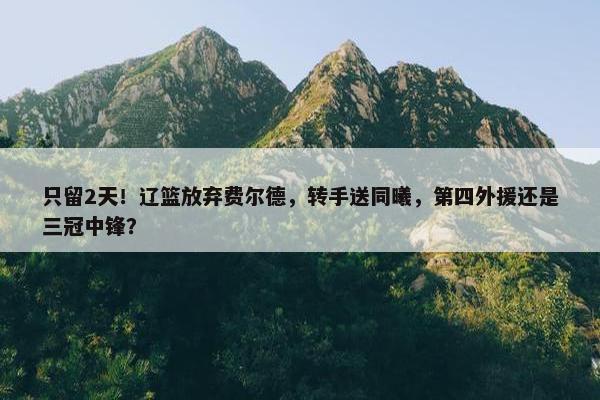 只留2天！辽篮放弃费尔德，转手送同曦，第四外援还是三冠中锋？