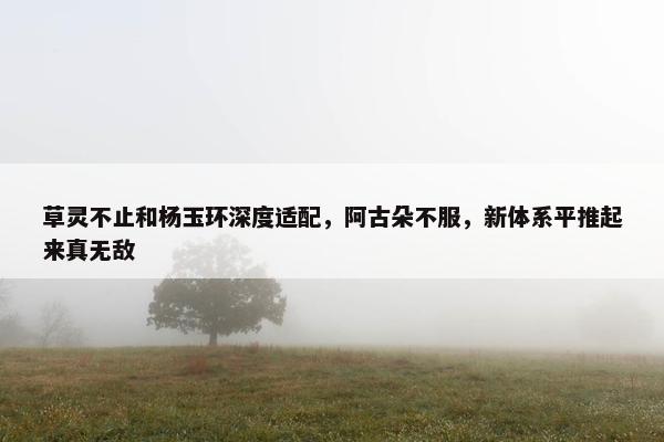 草灵不止和杨玉环深度适配，阿古朵不服，新体系平推起来真无敌