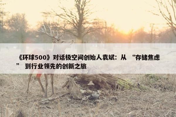 《环球500》对话极空间创始人袁斌：从 “存储焦虑” 到行业领先的创新之旅