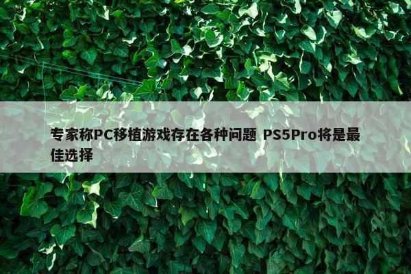 专家称PC移植游戏存在各种问题 PS5Pro将是最佳选择