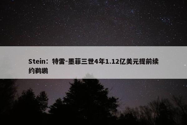 Stein：特雷-墨菲三世4年1.12亿美元提前续约鹈鹕