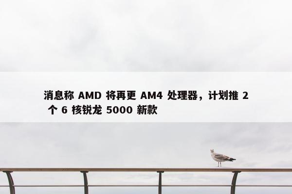 消息称 AMD 将再更 AM4 处理器，计划推 2 个 6 核锐龙 5000 新款