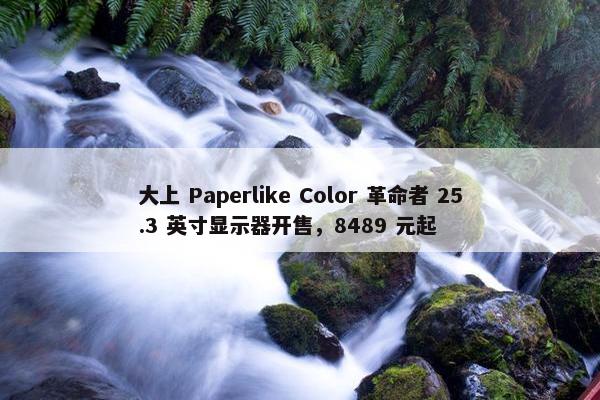 大上 Paperlike Color 革命者 25.3 英寸显示器开售，8489 元起