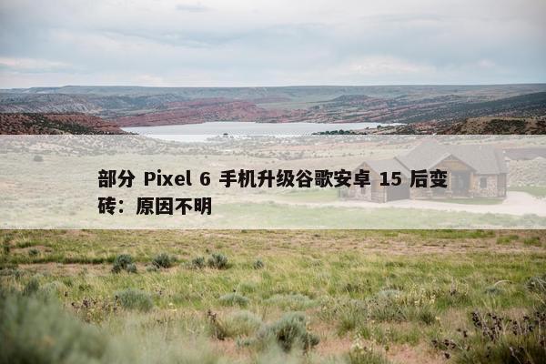 部分 Pixel 6 手机升级谷歌安卓 15 后变砖：原因不明