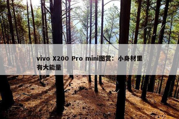 vivo X200 Pro mini图赏：小身材里有大能量