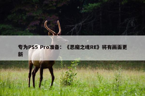 专为PS5 Pro准备：《恶魔之魂RE》将有画面更新