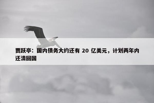 贾跃亭：国内债务大约还有 20 亿美元，计划两年内还清回国