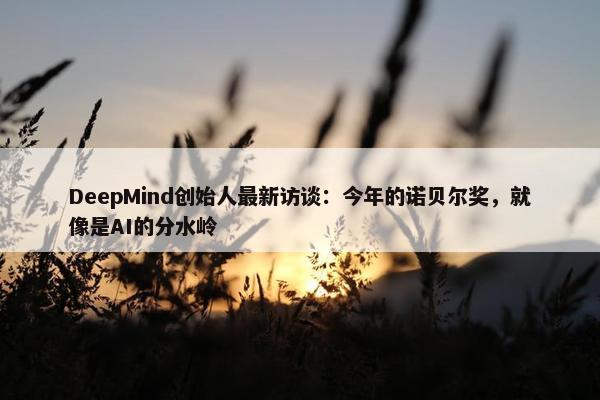 DeepMind创始人最新访谈：今年的诺贝尔奖，就像是AI的分水岭